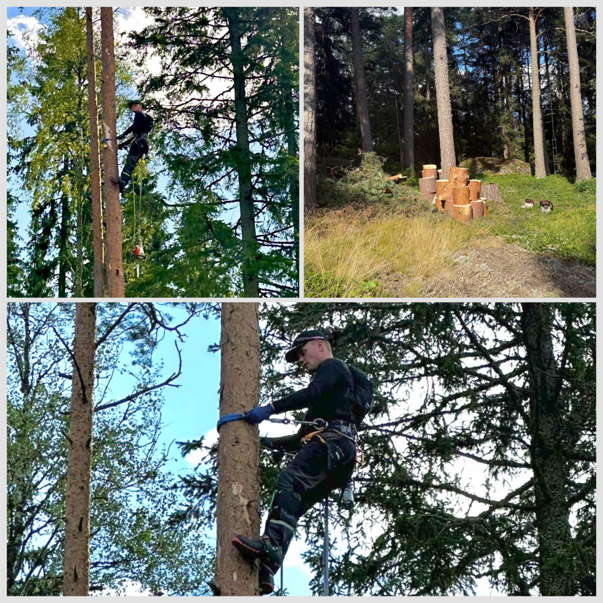 Nyt myös arboristin työt (puunkaato latvasta)! Löytyykö pihaltasi puu, joka pitäisi kaataa mutta tila ei riitä kaatoon? Ei hätää, ole yhteydessä niin hoidetaan puu pois!